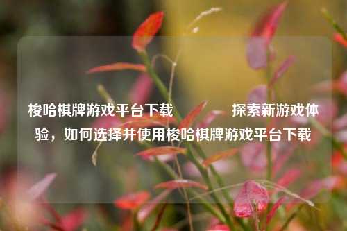 梭哈棋牌游戏平台下载🏀探索新游戏体验，如何选择并使用梭哈棋牌游戏平台下载