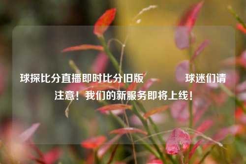 球探比分直播即时比分旧版🏐球迷们请注意！我们的新服务即将上线！