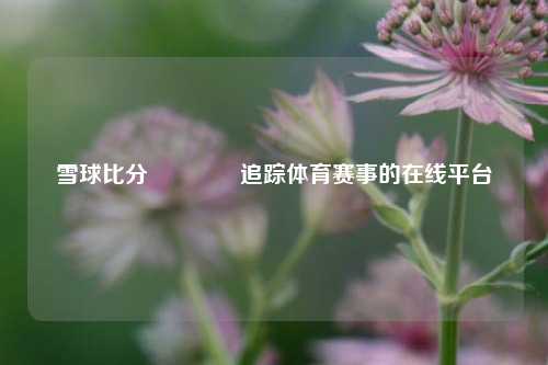 雪球比分🥈追踪体育赛事的在线平台