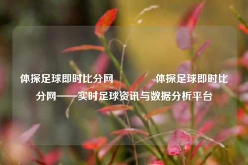 体探足球即时比分网🏀体探足球即时比分网——实时足球资讯与数据分析平台