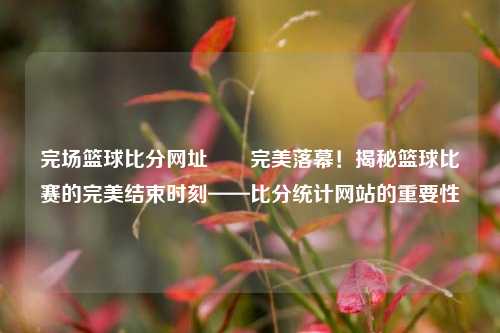 完场篮球比分网址✌️完美落幕！揭秘篮球比赛的完美结束时刻——比分统计网站的重要性