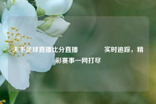 天下足球直播比分直播🏅实时追踪，精彩赛事一网打尽