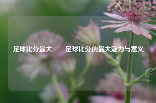 足球比分最大✌️足球比分的最大魅力与意义
