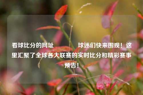 看球比分的网址👉球迷们快来围观！这里汇聚了全球各大联赛的实时比分和精彩赛事预告！