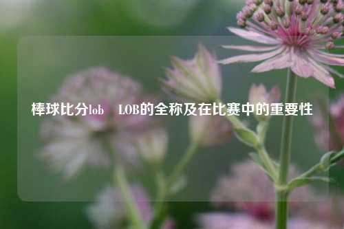 棒球比分lob⚽LOB的全称及在比赛中的重要性