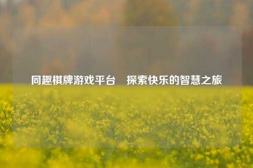 同趣棋牌游戏平台⚾探索快乐的智慧之旅