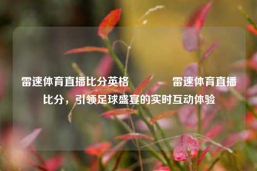 雷速体育直播比分英格🥉雷速体育直播比分，引领足球盛宴的实时互动体验