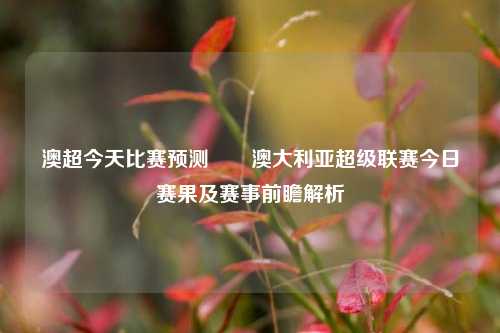 澳超今天比赛预测✌️澳大利亚超级联赛今日赛果及赛事前瞻解析