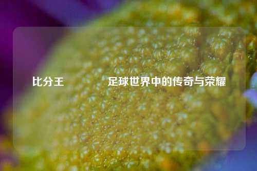 比分王👉足球世界中的传奇与荣耀