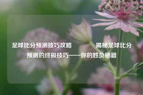 足球比分预测技巧攻略🥎揭秘足球比分预测的终极技巧——你的胜负秘籍