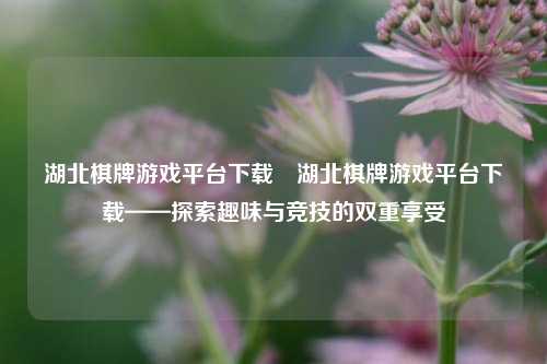湖北棋牌游戏平台下载⚽湖北棋牌游戏平台下载——探索趣味与竞技的双重享受
