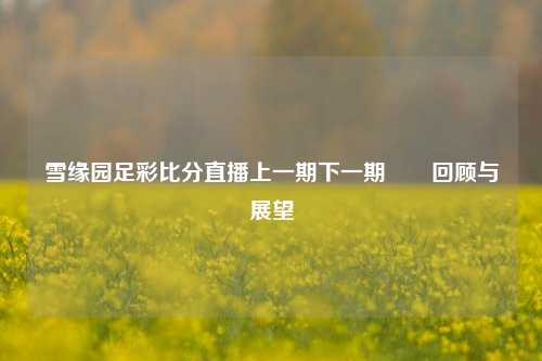 雪缘园足彩比分直播上一期下一期✌️回顾与展望