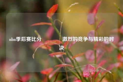nbn季后赛比分🏅激烈的竞争与精彩的对决