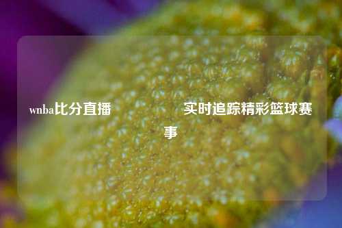 wnba比分直播🎖️实时追踪精彩篮球赛事