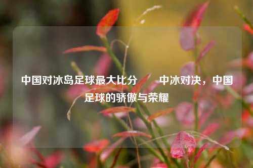 中国对冰岛足球最大比分✌️中冰对决，中国足球的骄傲与荣耀