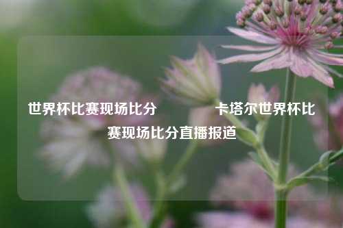 世界杯比赛现场比分👍卡塔尔世界杯比赛现场比分直播报道