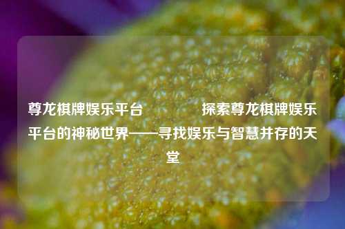 尊龙棋牌娱乐平台🏀探索尊龙棋牌娱乐平台的神秘世界——寻找娱乐与智慧并存的天堂