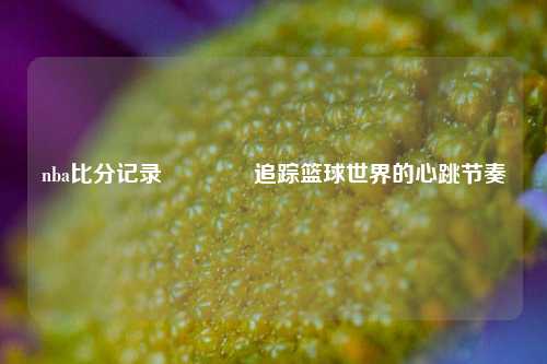 nba比分记录🥎追踪篮球世界的心跳节奏