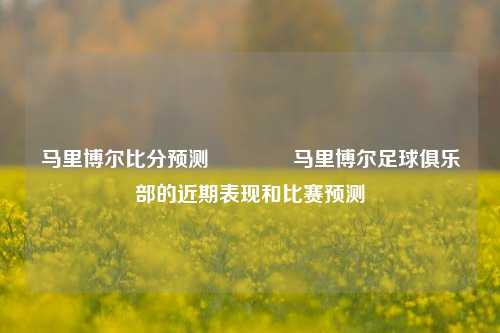 马里博尔比分预测👉马里博尔足球俱乐部的近期表现和比赛预测