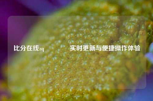 比分在线zq🏆实时更新与便捷操作体验