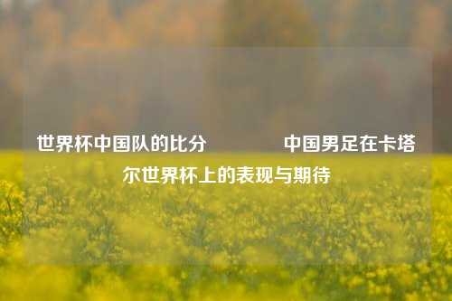 世界杯中国队的比分🌈中国男足在卡塔尔世界杯上的表现与期待