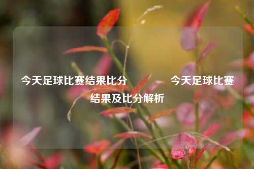 今天足球比赛结果比分🥉今天足球比赛结果及比分解析