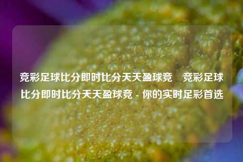 竞彩足球比分即时比分天天盈球竞⚽竞彩足球比分即时比分天天盈球竞 - 你的实时足彩首选