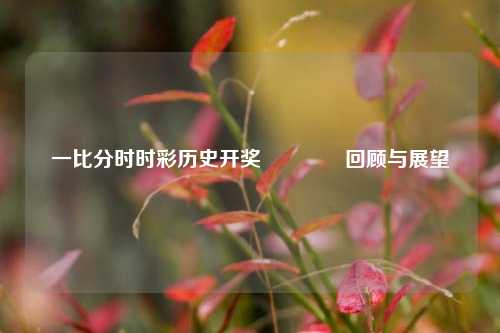 一比分时时彩历史开奖🥇回顾与展望