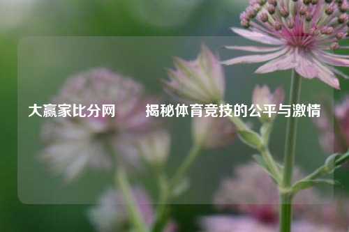 大赢家比分网✌️揭秘体育竞技的公平与激情