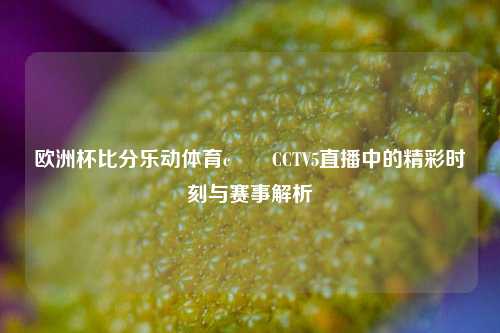 欧洲杯比分乐动体育c✌️CCTV5直播中的精彩时刻与赛事解析