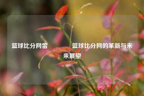 篮球比分网雷🏆篮球比分网的革新与未来展望