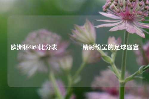 欧洲杯2020比分表🏆精彩纷呈的足球盛宴