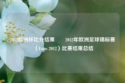 2012欧洲杯比分结果✌️2012年欧洲足球锦标赛（Euro 2012）比赛结果总结