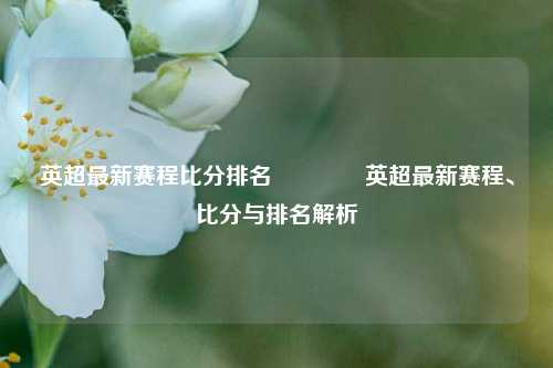 英超最新赛程比分排名🥎英超最新赛程、比分与排名解析
