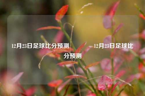 12月23日足球比分预测🥈12月23日足球比分预测
