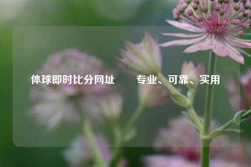体球即时比分网址✌️专业、可靠、实用