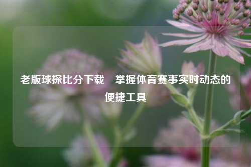 老版球探比分下载⚾掌握体育赛事实时动态的便捷工具