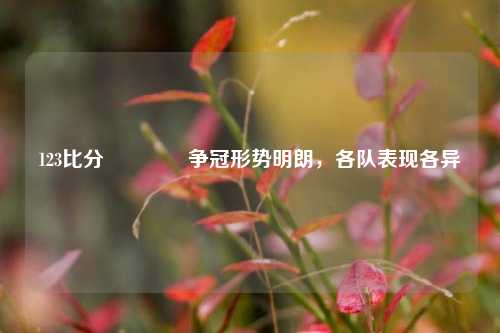 123比分🏆争冠形势明朗，各队表现各异