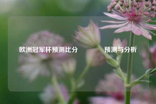 欧洲冠军杯预测比分🥎预测与分析