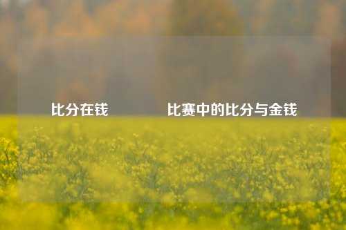 比分在钱🥈比赛中的比分与金钱