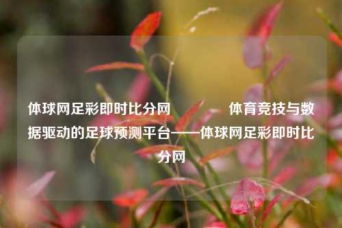 体球网足彩即时比分网🥈体育竞技与数据驱动的足球预测平台——体球网足彩即时比分网