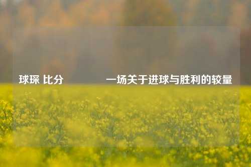 球琛 比分🌈一场关于进球与胜利的较量