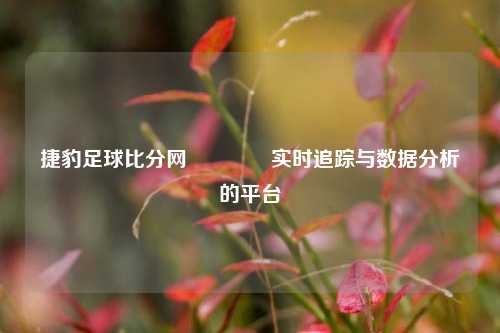 捷豹足球比分网👉实时追踪与数据分析的平台