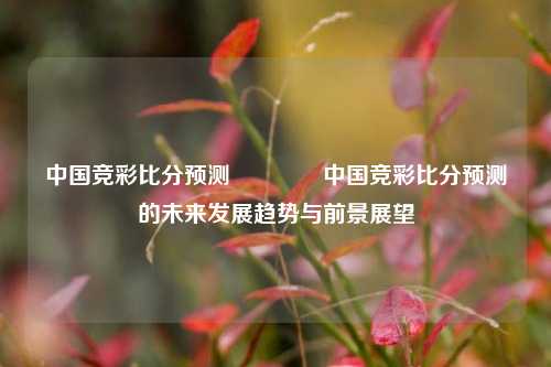 中国竞彩比分预测🏅中国竞彩比分预测的未来发展趋势与前景展望