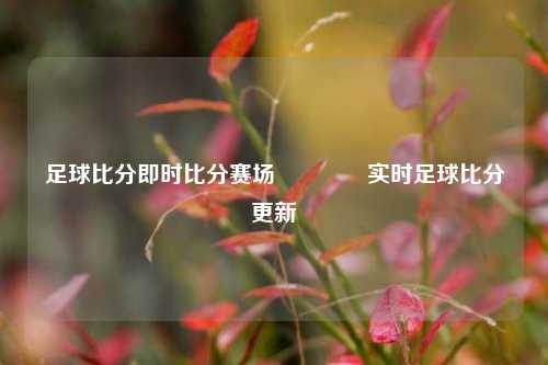 足球比分即时比分赛场🥎实时足球比分更新