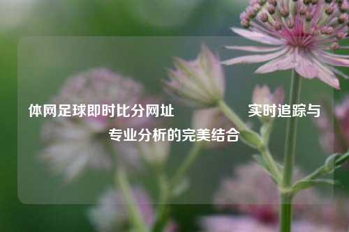 体网足球即时比分网址🎖️实时追踪与专业分析的完美结合