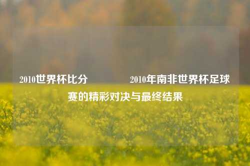2010世界杯比分🥉2010年南非世界杯足球赛的精彩对决与最终结果