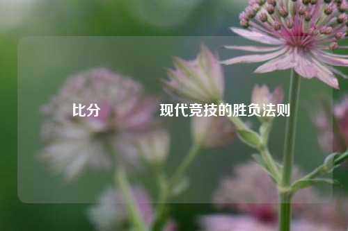 捿比分👈现代竞技的胜负法则