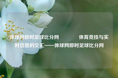 体球网即时足球比分网🏅体育竞技与实时信息的交汇——体球网即时足球比分网