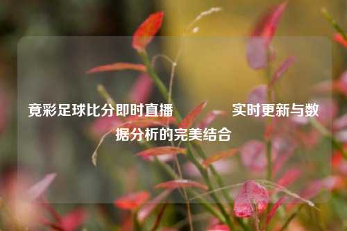 竟彩足球比分即时直播🏐实时更新与数据分析的完美结合